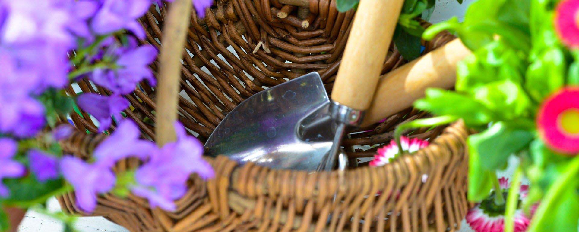 Porady ogrodnicze Porady ogrodnicze